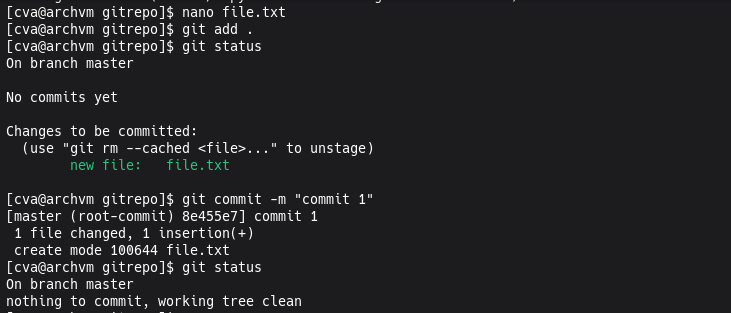 adding a file and committing it